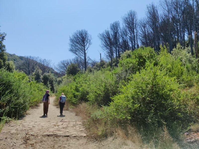 ischia-volcano-hike