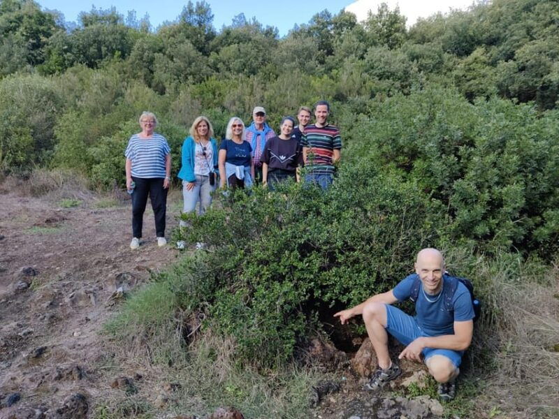 ischia-volcano-minibus-tour
