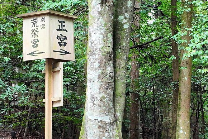 Ise Jingu Shrine Pilgrimage and Meoto Iwa Bus Tour - Practical Aspects and What to Expect