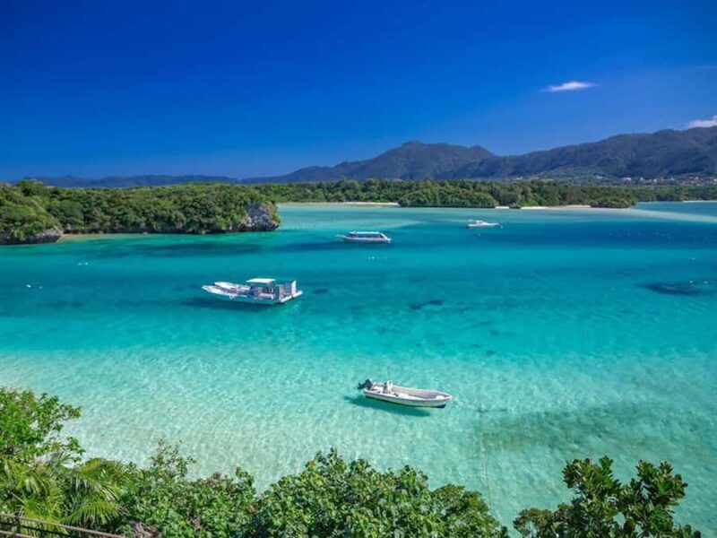 Ishigaki: Half-Day Scenic Tour with Photos & Transfer - What To Bring & Practical Tips