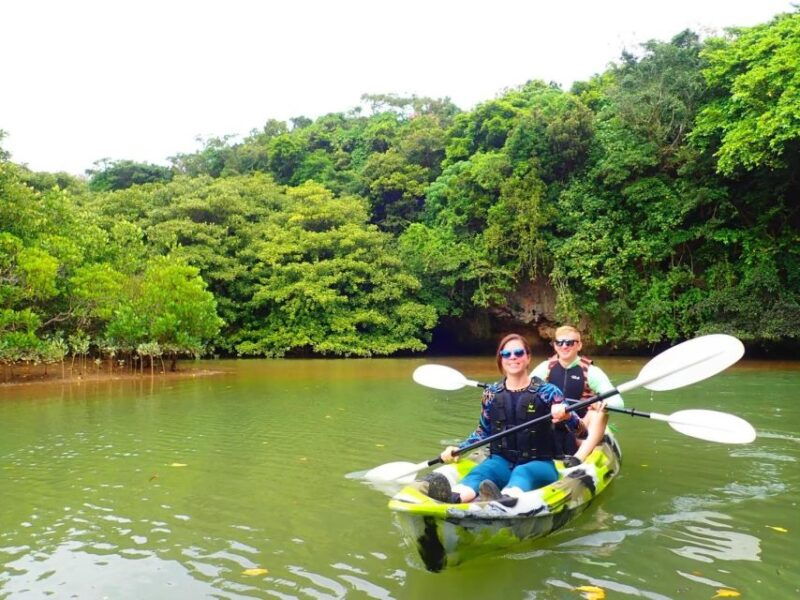 ishigaki-island-2-hour-miyara-river-kayaking-tour