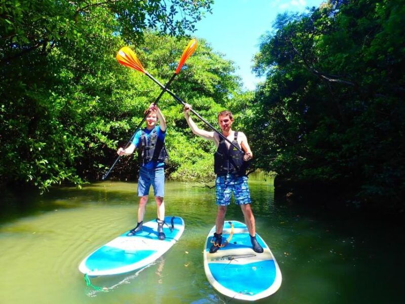 ishigaki-island-2-hour-miyara-river-kayaking-tour