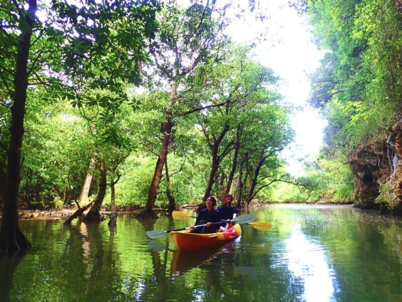 ishigaki-island-2-hour-miyara-river-kayaking-tour