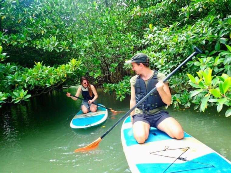 ishigaki-island-2-hour-miyara-river-kayaking-tour