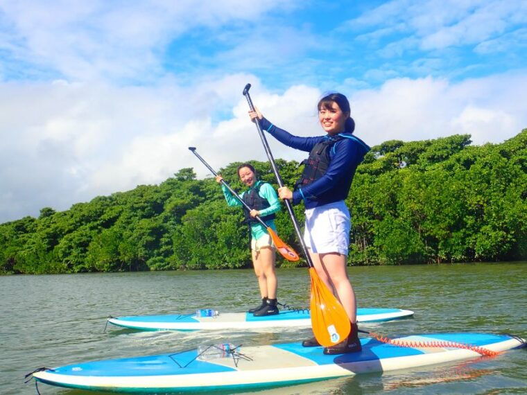 ishigaki-island-2-hour-miyara-river-kayaking-tour