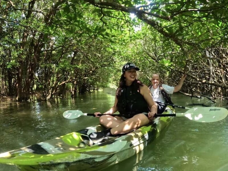 Ishigaki Island: 2-Hour Miyara River SUP or Canoeing Tour - Key Points