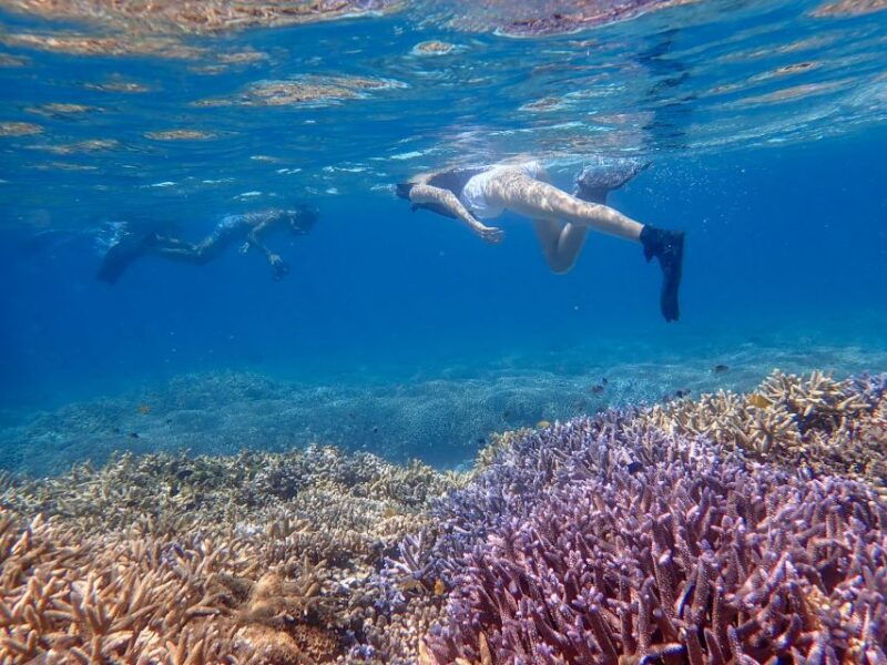 ishigaki-island-boat-snorkeling-tour-at-phantom-island