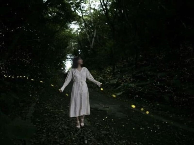 Ishigaki Island: Yaeyamahime Firefly Viewing Tour - Who Will Love This Tour?