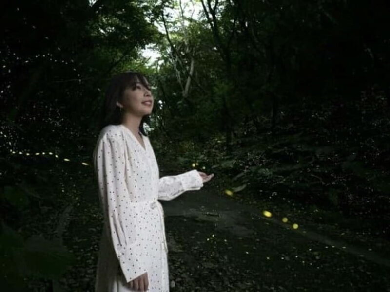 Ishigaki Island: Yaeyamahime Firefly Viewing Tour - FAQs