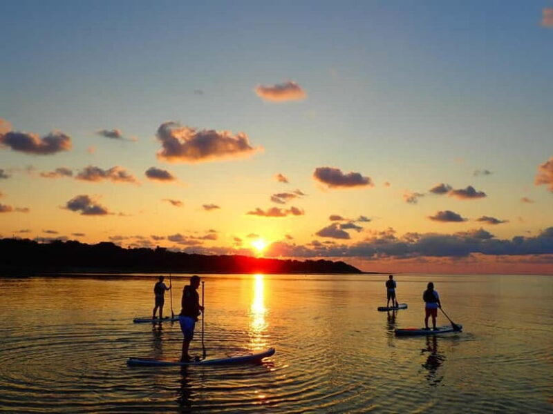 Ishigaki Island:Choice of Sunrise SUP or Canoe Tour - What to Expect During the Tour