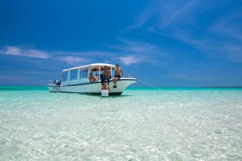 Ishigaki: Mangrove SUP or Canoe & Phantom Island Snorkeling - An Introduction to the Experience