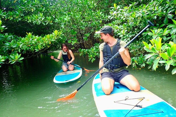 ishigaki-mangrove-sup-or-canoeing-and-phantom-island-snorkeling