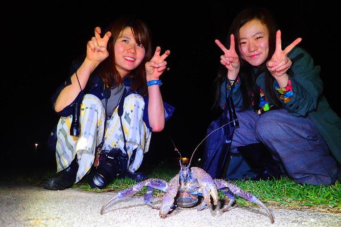 ishigaki-night-jungle-tour