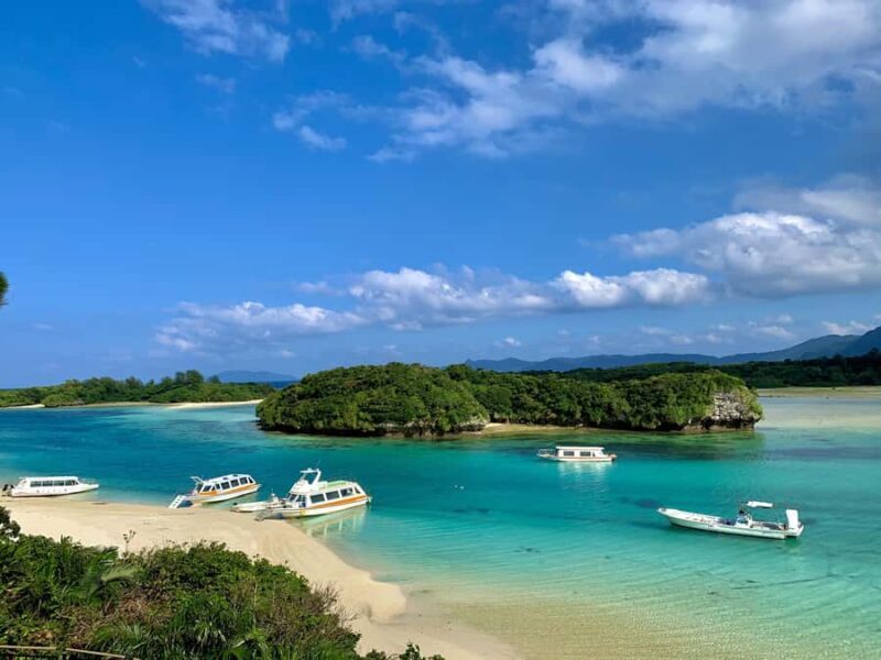 Ishigaki Okinawa: Private Shore Excursion for Cruise Guests - Who Will Love This Tour?