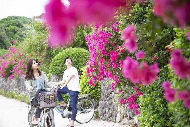 ishigaki-phantom-island-snorkeling-taketomi-island-sightseeing