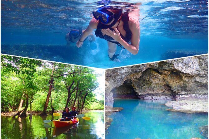 [Ishigaki]Mangrove SUP/Canoe + Blue Cave Snorkeling - Exploring Ishigaki’s Mangroves and Blue Cave: An Honest Review