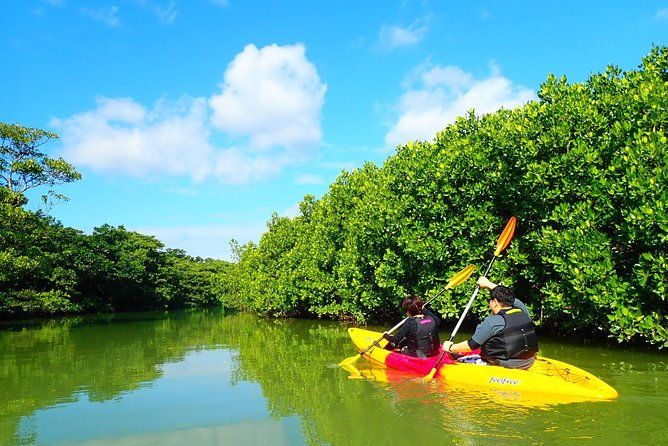 ishigakimangrove-sup-canoe-tour