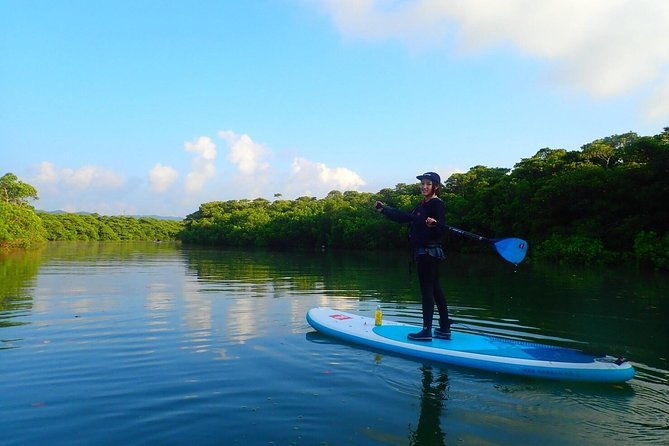 ishigakimangrove-sup-canoe-tour