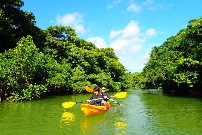 ishigakimangrove-sup-canoe-tour