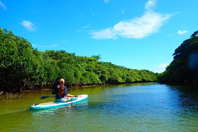 ishigakimangrove-sup-canoe-tour