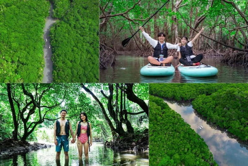 Ishigaki:Mangrove&Sea SUP/Kayak Tour with SLR&Drone footage - Exploring Ishigaki’s Mangroves and Seas: What’s Included and What to Expect