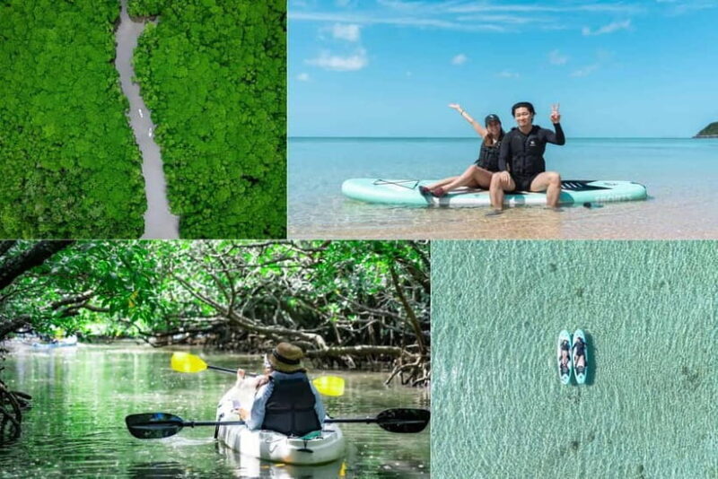 Ishigaki:Mangrove&Sea SUP/Kayak Tour with SLR&Drone footage - Authentic Insights from Past Participants