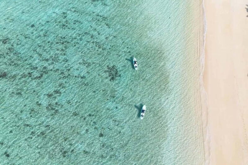 Ishigaki:Mangrove&Sea SUP/Kayak Tour with SLR&Drone footage - Final Thoughts: Is It Worth It?