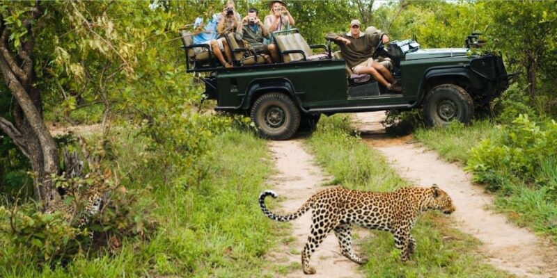 Isimangaliso Day Tour & Hippo & Croc Boat Cruise From Durban - What’s Included and Why It Matters