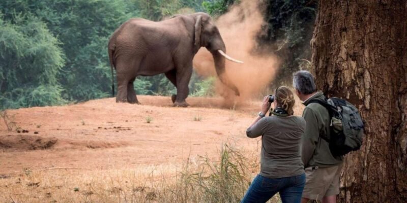 Isimangaliso Day Tour & Hippo & Croc Boat Cruise From Durban - Additional Insights and Practical Tips