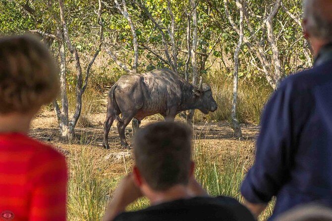 iSimangaliso Wetland Park, Full Day Tour - Key Points