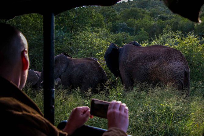 iSimangaliso Wetland Park, Night Drive Safari - Is the Price Worth It?