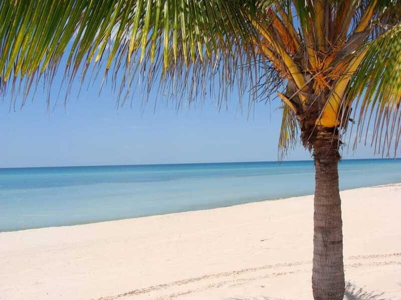 Isla Aguada: Flight of the Bird and the Smile of the Dolphin - Frequently Asked Questions