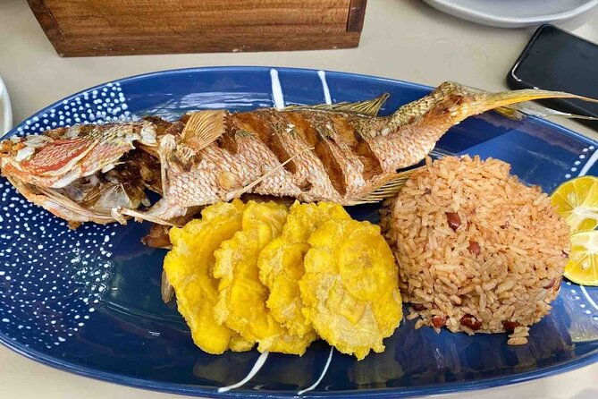 isla-colon-tour-to-bird-island-boca-del-drago-and-starfish-beach