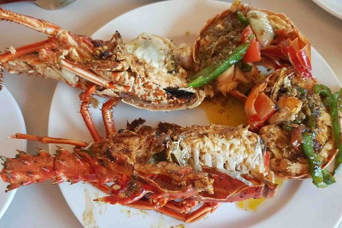 isla-colon-tour-to-bird-island-boca-del-drago-and-starfish-beach