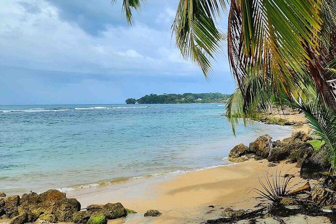 isla-colon-tour-to-bird-island-boca-del-drago-and-starfish-beach