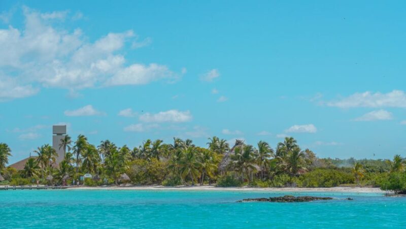 Isla Contoy & Isla Mujeres Adventure from Cancun/Riviera - Final Thoughts