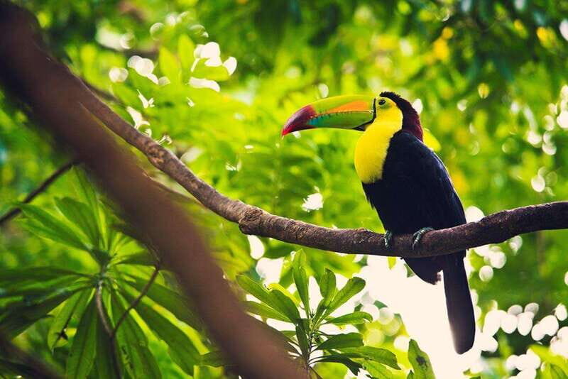 Isla Contoy Paraiso Natural - Considerations & Potential Drawbacks