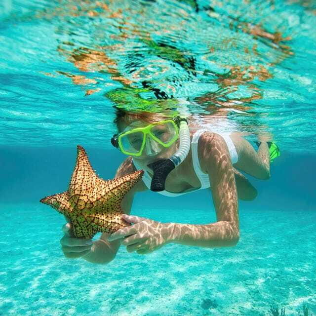 Isla Contoy Paraiso Natural - Who Would Love This Tour?