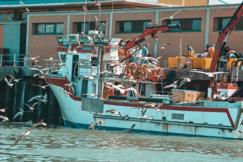 isla-cristina-isla-canela-boat-trip-through-the-marshes