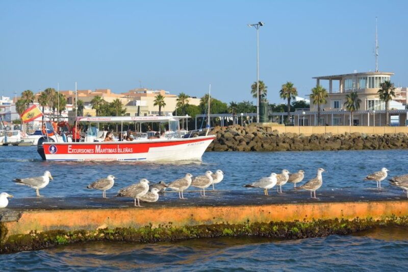 isla-cristina-isla-canela-boat-trip-through-the-marshes