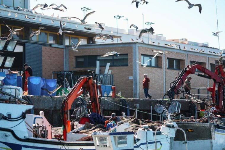 isla-cristina-isla-canela-boat-trip-through-the-marshes