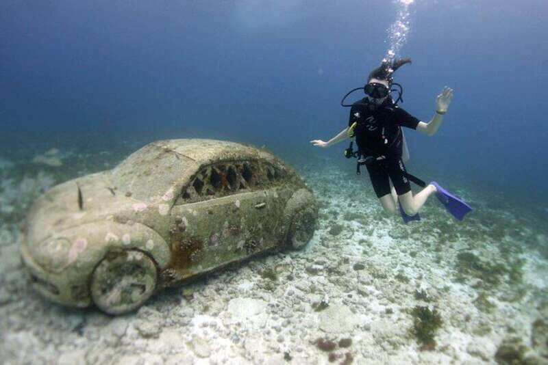 Isla Mujeres: 2-Tank Dive for Certified Divers - Exploring the 2-Tank Dive Tour in Isla Mujeres: A Genuine Guide