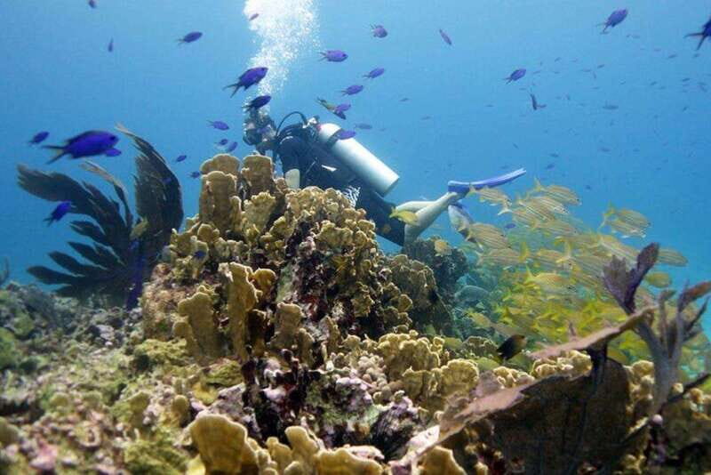 Isla Mujeres: 2-Tank Dive for Certified Divers - The Practicalities: What You Need to Know