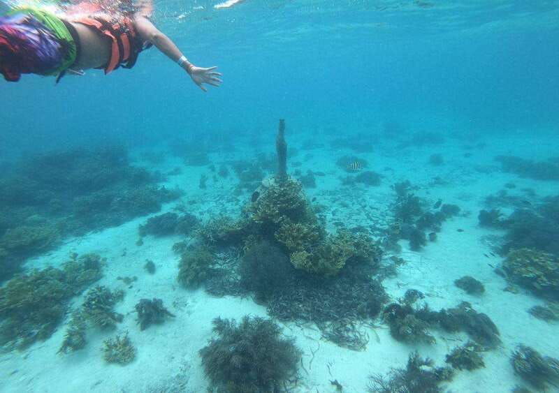 isla-mujeres-catamaran-tour-snorkeling-buffet-and-open-bar