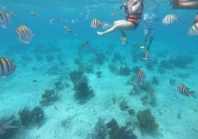 isla-mujeres-catamaran-tour-with-snorkel-buffet-and-drinks