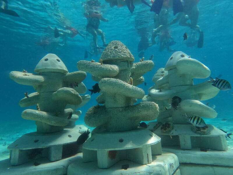 Isla Mujeres: Full Day Private Catamaran with Snorkeling - Key Points