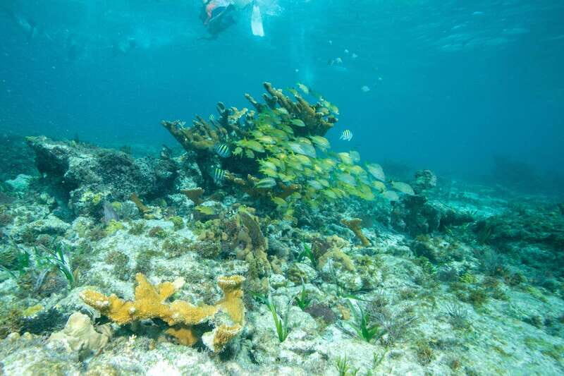 Isla Mujeres: Full Day Private Catamaran with Snorkeling - Breakdown of the Itinerary