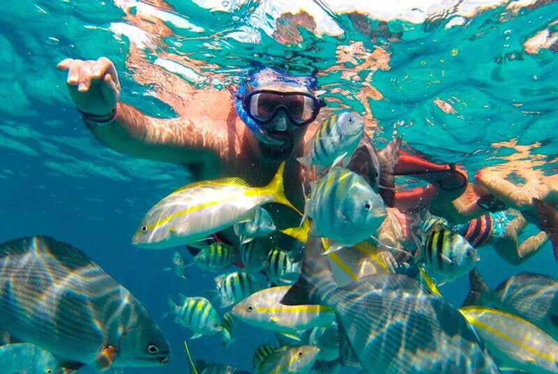 Isla Mujeres Full-Day Sailing Trip with Lunch and Open Bar - Key Points