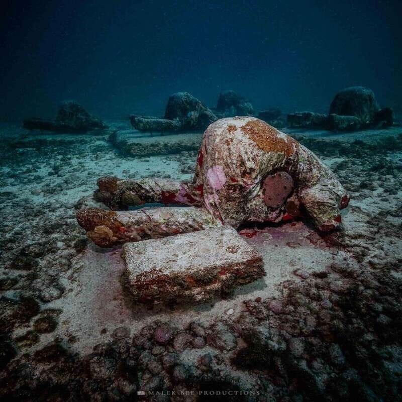 Isla Mujeres: MUSA and the Manchones Reef: 2 Tank Dive Tour - The Experience from the Guides’ Perspective
