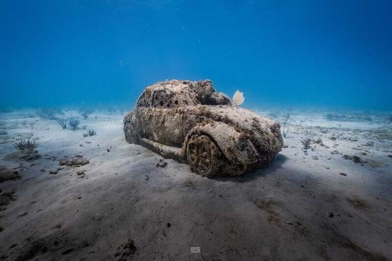 Isla Mujeres: MUSA and the Manchones Reef: 2 Tank Dive Tour - Final Thoughts